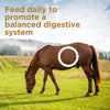 Formula 707 Digestive Health Equine Supplement, 4lb Bucket - Probiotics, Prebiotics and Digestive Enzymes for Horses