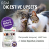 HomeoPet Feline Digestive Upsets, Natural Pet Digestive Support for Cats and Kittens, Safe and Natural Cat or Dog Medicine, 15 Milliliters