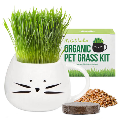 The Cat Ladies Organic Cat Grass Growing kit with Organic Seed Mix, Soil and White Cat Planter. Natural Hairball Control and Digestion Remedy for Cats