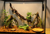 AQUA KT Reptile Corner Climbing Branch with Plant Snake Climb Tree for Bearded Dragon Lizard Hermit Crab Crested Gecko Leopard Chameleon Frog Terrarium Habitat