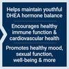 Life Extension DHEA 25 mg - Supplement for Hormone Balance, Immune Support, Sexual Health, Bone & Cardiovascular Health and Anti-Aging and Mood Support - Gluten-Free, Non-GMO - 100 Capsules