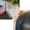 Dielianyi Horse Bling Accessory Mane and Tail Bling Pony Hair Tinsel for Western Bride Horse Lover