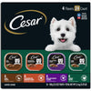 CESAR Adult Wet Dog Food Classic Loaf in Sauce Poultry Variety Pack,. Easy Peel Trays with Real Chicken, Turkey or Duck, 3.5 Ounce (Pack of 24)