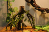 AQUA KT Reptile Corner Climbing Branch with Plant Snake Climb Tree for Bearded Dragon Lizard Hermit Crab Crested Gecko Leopard Chameleon Frog Terrarium Habitat