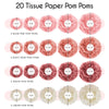 EpiqueOne 20 Piece Tissue Paper Pom Poms | Blush Pink, Dusty Rose, Mauve & Cream | Colorful Paper Flower Wall Decorations for Bridal Showers, Baby Showers, Weddings, Graduations, Tea Parties & More