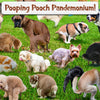 The Original 1000 Piece Puzzle, 101 Pooping Puppies, Dogs Pooping Puzzle, Perfect White Elephant Gag Gift, Funny Puzzle for Adults