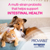 Nutramax Proviable Digestive Health Supplement Multi-Strain Probiotics and Prebiotics for Cats and Dogs - With 7 Strains of Bacteria, 30 Capsules