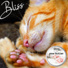 The Blissful Cat Paw Butter, Moisturizer For Dry Paw Pads, Softens and Protects a Rough Paw, Versatile, Lick-Safe Cat Paw Balm, 2 oz.