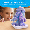 NATIONAL GEOGRAPHIC Craft Kits for Kids - Crystal Growing Kit, Grow 6 Crystal Trees in Just 6 Hours, Educational Craft Kit with Art Supplies, Geode Specimen, STEM Arts & Crafts Kit