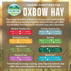 Oxbow Animal Health Oat Hay - All Natural Hay for Rabbits, Guinea Pigs, Chinchillas, Hamsters & Gerbils - 15 oz.