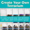 Creativity for Kids Grow 'N Glow Terrarium Kit for Kids - Educational Science Kits Ages 6-8+, Kids Gifts for Boys and Girls, Craft and STEM Projects