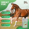 Original Udder Balm Doc Hoag's Aloe Vera + Agave Premium Horse Supplement for Gut Health, Natural Equine Gastric Support & Stress Relief, Support Ulcer Improvement for Horses and Other Large Animals, Horse Digestive Aids