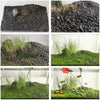 3 Fresh Water Live Plant Seeeds for Aquarium and Fish Tank, 3 Different Aquatic Plant Decor Water Grass Dwarf Mini Tiny Leaves Hair Grass Seeed (0.36ozTiny+0.36oz Long+0.36oz Short) qwe