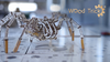 Wood Trick Mechanical Spider 3D Wooden Puzzle - Runs up to 7 feet - Wooden Model Kit for Adults and Kids to Build