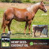 Silver Lining Herbs Hemp Seed Oil-Coconut Oil - All Natural Herbal Horse Oil - Source of Omega 3 Fatty Acids - Horse Health Support of the Immune System, Joints, and Cardiovascular System - 1 Gallon